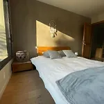 Glass And Wood Designer With Garden In Centertown וילה *