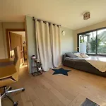 Glass And Wood Designer With Garden In Centertown