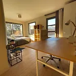 Glass And Wood Designer With Garden In Centertown וילה