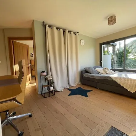 Glass And Wood Designer With Garden In Centertown