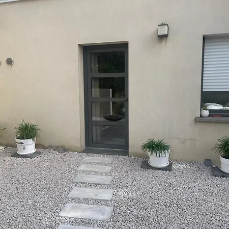 וילה Glass And Wood Designer With Garden In Centertown