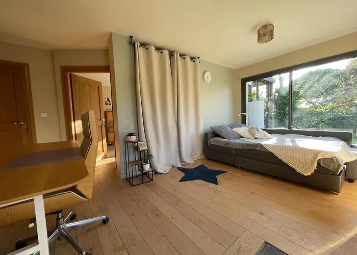 Glass And Wood Designer With Garden In Centertown