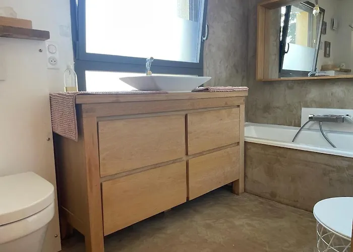 Glass And Wood Designer With Garden In Centertown 蒙彼利埃