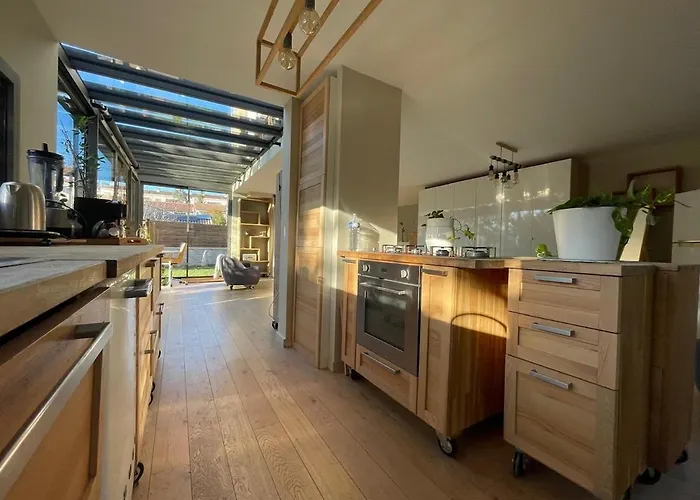 别墅 Glass And Wood Designer With Garden In Centertown 蒙彼利埃