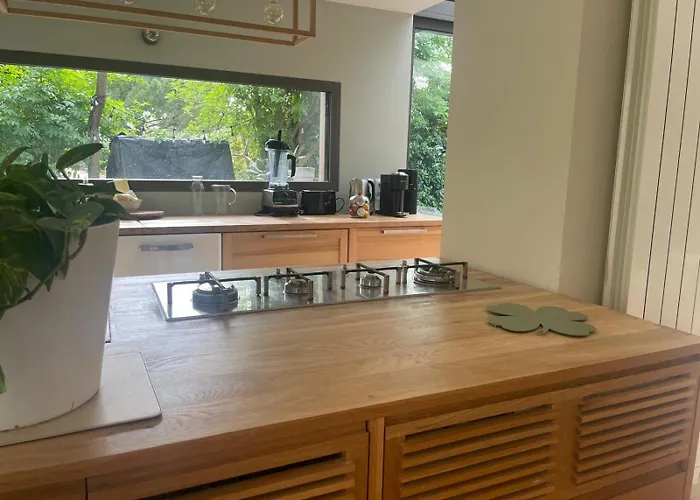 Glass And Wood Designer With Garden In Centertown 蒙彼利埃