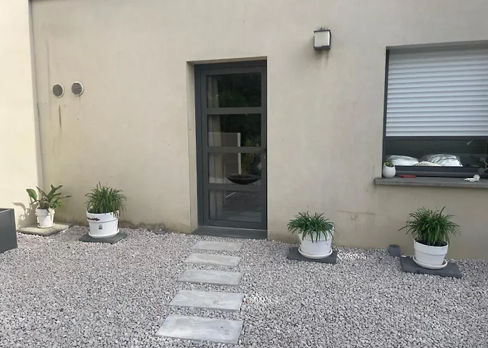 别墅 Glass And Wood Designer With Garden In Centertown
